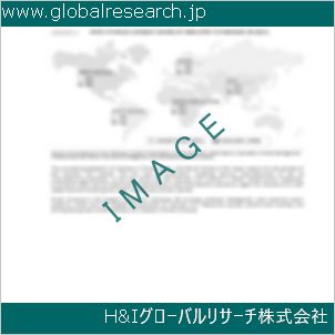 グローバルリサーチ調査資料のイメージ